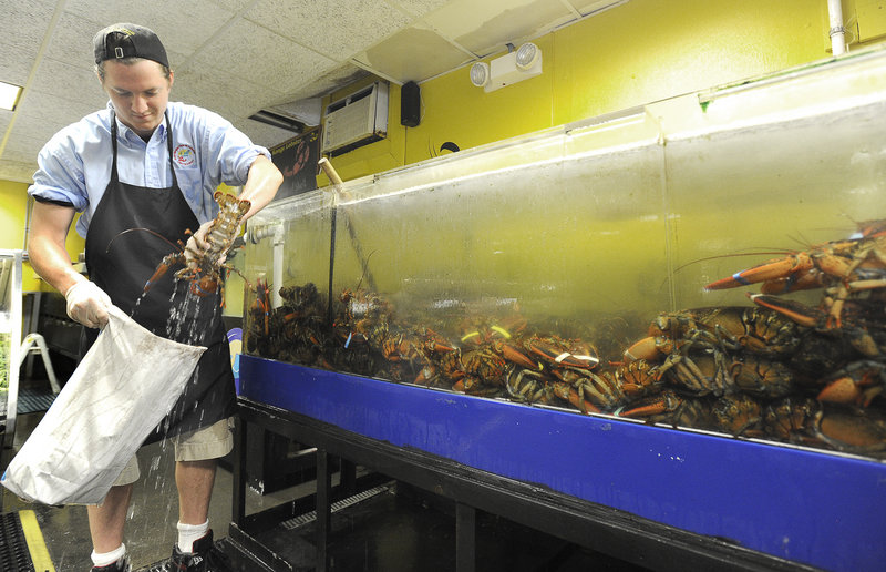 Jack Burke selects lobsters for a customer at Free Range Fish & Lobster in Portland last week. While dealers and retailers add to lobster prices, “there’s always wiggle room if you’ve got product you want to move,” says one industry expert.