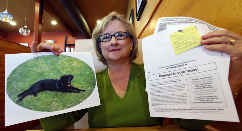 Brenda Charlston holds a photo of her long-deceased dog, Rosie, and a voter registration form for “Rosie Charlston” that arrived in the mail for the pet last month, in Seattle.