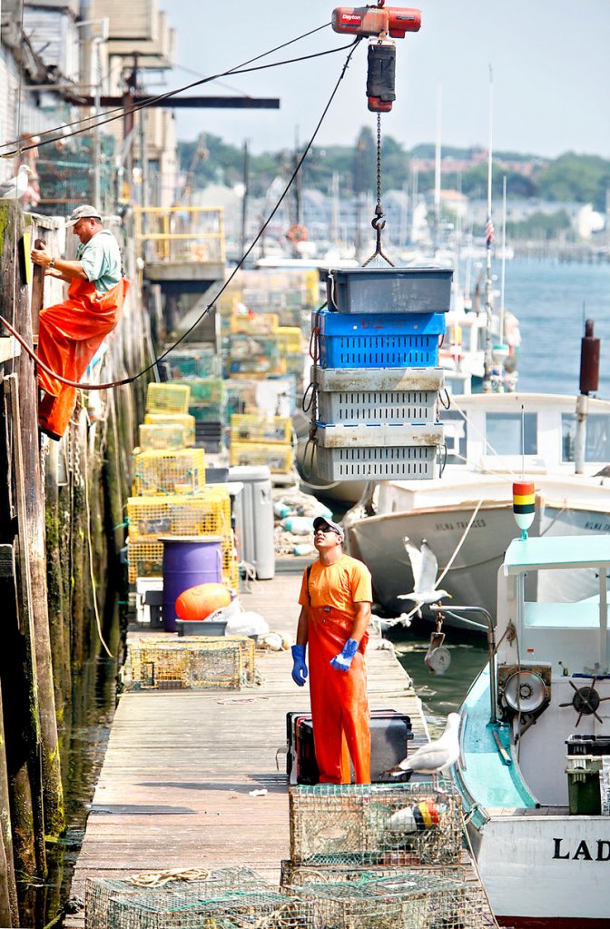 Lobsterman Eric Pray watches Tuesday as four crates of lobster are lifted from the dock to Harbor Fish Market while Pray’s father, Peter, climbs a ladder to the market in Portland.