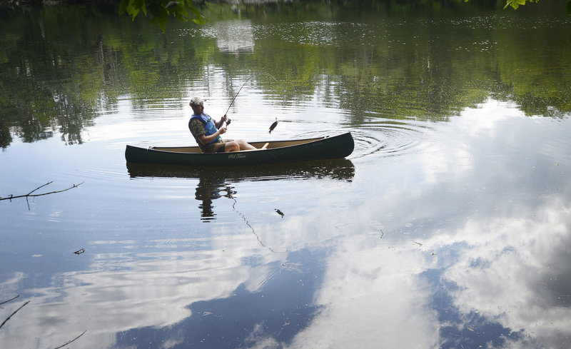 A fisherman reels in a small fry while fishing along the banks of the Saco River in Buxton on Thursday. “No keepers yet,” he said before paddling away.