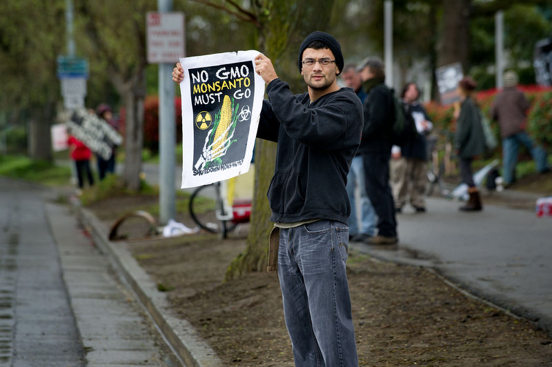 A man protests outside the Monsanto facility in Davis, Calif., in March. The FDA has ruled GMO foods – made from genetically modified organisms – safe, but concern persists.