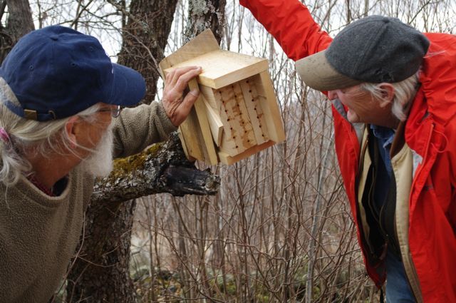 Organic blueberry grower Doug Van Horn, left, and Frank Drummond, an insect ecologist at the University of Maine at Orono, inspect a nesting box for native bees at Twitchell Hill Farm in Montville.