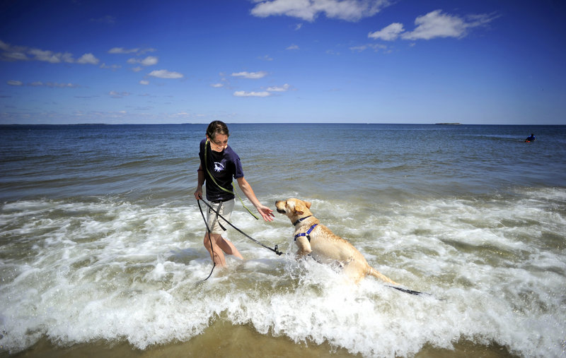 Shannan Hall-Nutting, owner of Finish Forward Dogs in Saco, plays with Curly at Bayview Beach Wednesday. Some Saco residents have complained that the beach has become a “dog mecca” since beaches in neighboring communities have curtailed dogs’ access.