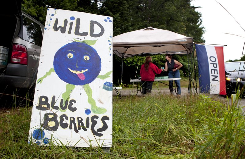 A sign advertises wild blueberries for sale at a roadside stand in Woolwich. A small amount of Maine’s crop is sold fresh, but most of it goes to food processors.