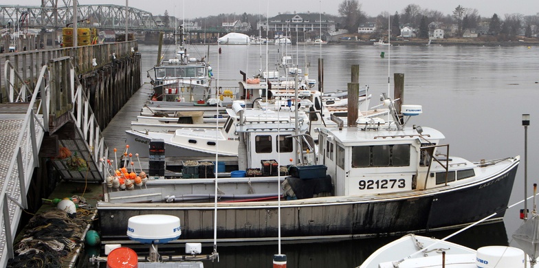 Fishing boats are moored at the Commercial Fishing Pier in Portsmouth, N.H., last winter. Regulators are expected to cut catch limits on Atlantic cod.