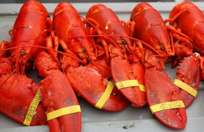 This August 5, 2005 file photo shows lobsters at The Maine Lobster Festival in Rockland. The state's Lobster Advisory Council voted unanimously Thursday to move forward with a $3 million plan to market Maine lobster in an effort to boost prices, which are at their lowest level in 30 years.