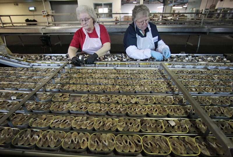 In this April 2010 file photo, workers fill cans with sardine steaks at the former Stinson sardine cannery in Gouldsboro.