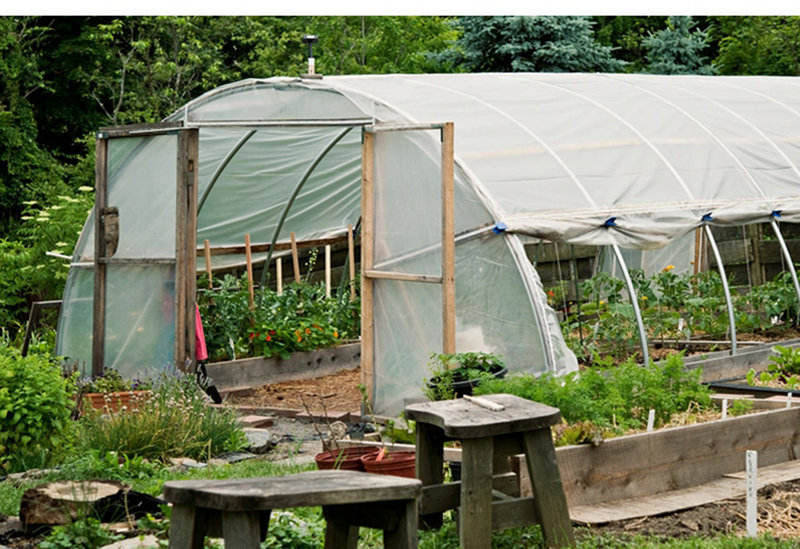 This greenhouse will be part of the tour at Maureen Costello’s house in Portland.
