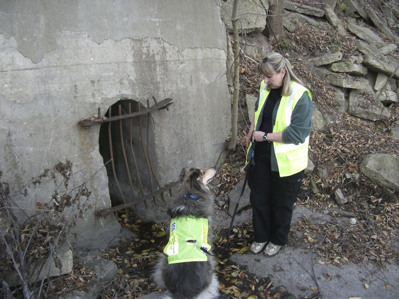 Logan, a rough-coated collie mix, alerts handler Karen Reynolds that human waste is in the water flowing out of a pipe into Lake Michigan. Logan’s favorite work reward is food.