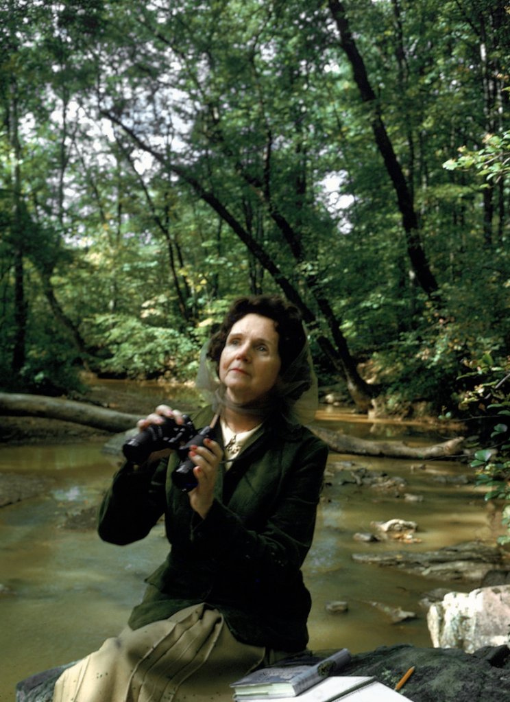 Rachel Carson pauses in the woods near her home in 1962. She became the grand dame of the environmental movement with the publication of her book that year, which questioned the unrestrained use of pesticides and became pivotal in the banning of DDT 10 years later. She died of breast cancer in 1964.