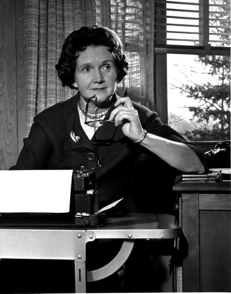 Rachel Carson poses at her typewriter in her Washington, D.C., home in 1963. Her book “Silent Spring” inspired many readers to pursue environmental activism.