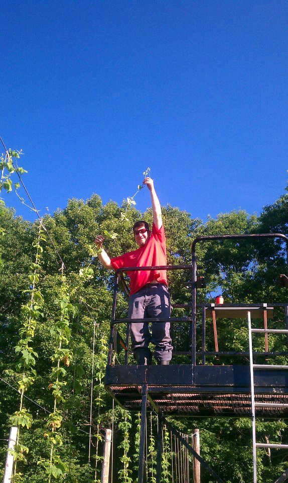 Jeff Therrien checks his plants’ progress at Rock Island Hop Farm.