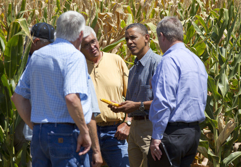 President Obama and Agriculture Secretary Tom Vilsack, right, inspect drought-damaged corn Monday on a family farm in Missouri Valley, Iowa.