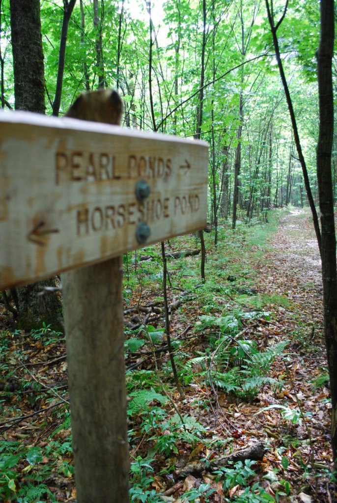 The Appalachian Mountain Club turned old hard-to-find footpaths to wild brook trout waters into easy-to-navigate trails to help guests find choice fishing holes.