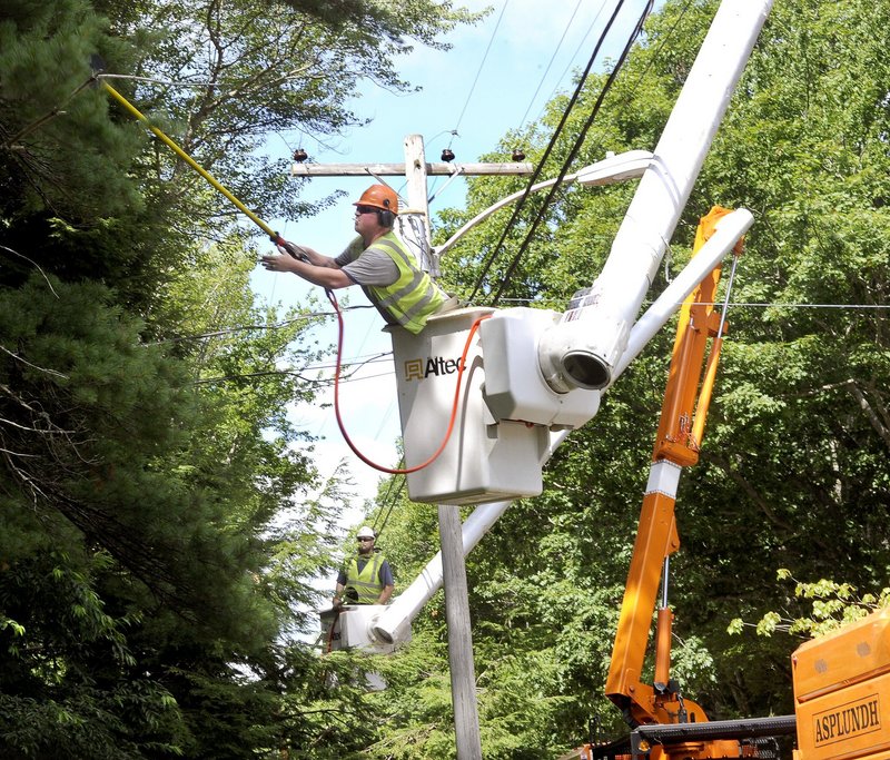 Jason Perkins, at rear, and Patrick Gregory, both of Asplundh Tree Expert Co., trim trees along power lines in Bristol last month, as part of CMP’s five-year program.