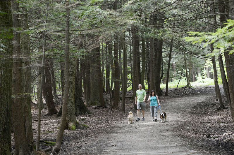 Don Elliot of Portland, with his dog Chessie, and Sarah Whitney of South Portland, with her dog Lanie, walk the trails of Baxter Woods in Portland on Monday. In 1946, Gov. Percival Baxter gave Portland the 29.5 acres to be kept in its natural state. The park was named in honor of Baxter’s father, Portland Mayor James Phinney Baxter.