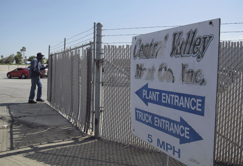 A security guard opens a gate at the Central Valley Meat Co. Regulators shut down the California slaughterhouse after they received a video that appears to show animal mistreatment.