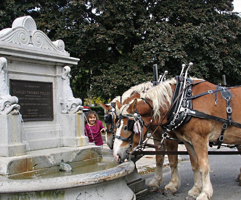 Horses still pause to drink at the Pullen Fountain on Federal Street in Portland. The fountain will be the subject of a talk on Sept. 7 sponsored by the Portland Public Art Committee.