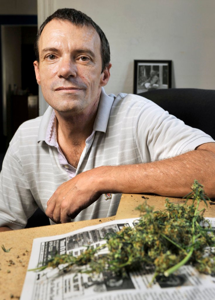 Charles Wynott, organizer of Saturday’s CannaFEST event in Deering Oaks park, displays some of the marijuana he grows at home to treat a medical condition. He has a city permit for the festival and expects 200 to 300 people to attend.