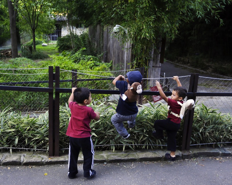 A trio of children climb and lean against the handrail of the closed Panda exhibit at the National Zoo in Washington the day after it was announced that the Zoo’s female giant panda gave birth to a cub, Monday, Sept. 17, 2012, in Fairfax, Va. Mei Xiang gave birth Sunday at 10:46 pm, but the zoo staff has yet to see the new cub because Mei Xiang has built a large nest in her den. (AP Photo/Pablo Martinez Monsivais)