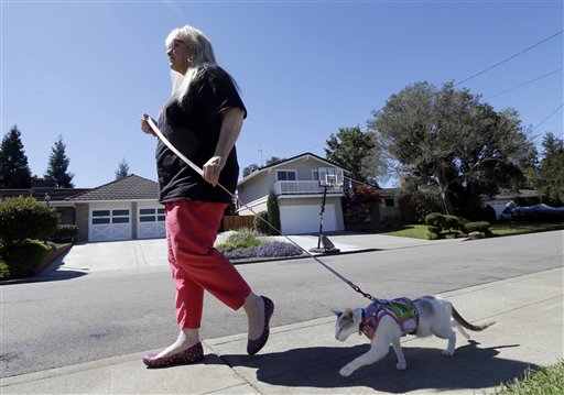 Karen Nichols walks her cat Skeezix in Castro Valley, Calif. If you are going to walk your cat, you'll have to keep it on a tight leash. More than 6 feet is too dangerous for you and the cat, according to experts who warn the harness has to fit snugly too.