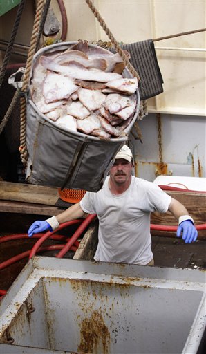 Fishing boat crewman Jeremy Prior offloads flounder from in New Bedford, Mass., in this May 14, 2012, photo. New Bedford had the highest-valued catch of any port in the U.S. for the 12th straight year, due largely to its scallop fishery.