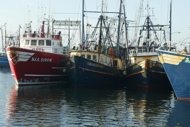 This April 30, 2004 file photograph shows fishing boats docked at the pier in New Bedford, Mass. The U.S. seafood catch reached a 17-year high in 2011, with all fishing regions of the country showing increases in both the volume and value of their harvests. New Bedford, Mass., had the highest-valued catch for the 12th straight year, due largely to its scallop fishery. (AP Photo/Stew Milne)