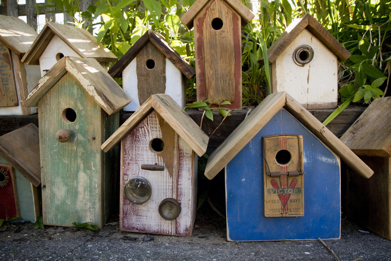 Some of Little's birdhouses.