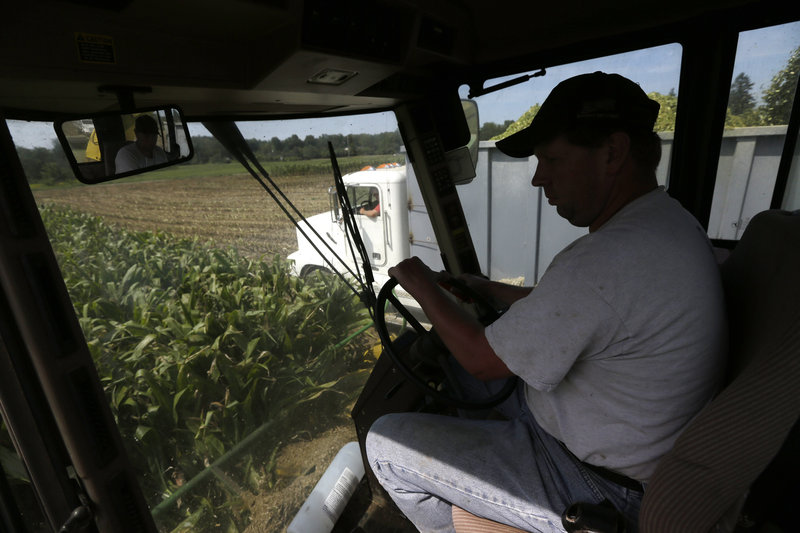 Ron Ooms drives a grinding machine while harvesting corn that will be used for silage at his family’s A. Ooms and Sons Dairy Farm in upstate New York.