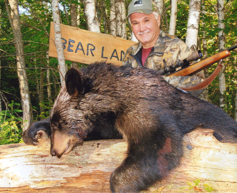 A black bear is what hunters would like to bag when they come to Maine for a hunting expedition. Many hunters, however, find the experience of being in Maine is as memorable as getting a trophy – helping to explain why most of the season’s bear hunters are from out of state.