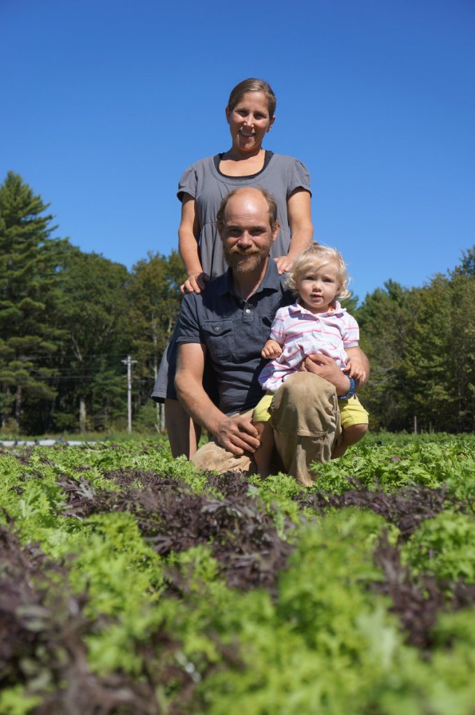 Gallit, Chris and Calliope Cavendish in a field of greens at Fishbowl Farm in Bowdoinham. The farm intends to change its business model after this season and only sell to wholesale accounts.