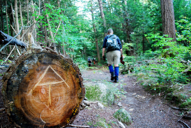 Volunteers perform their duties on the L.L. Bean section of the Appalachian Trail. The L.L. Bean crew has gathered together twice a year for 32 years to maintain a section of the trail in the 100 Mile Wilderness. The AT symbol is etched into the bottom of a fallen tree.