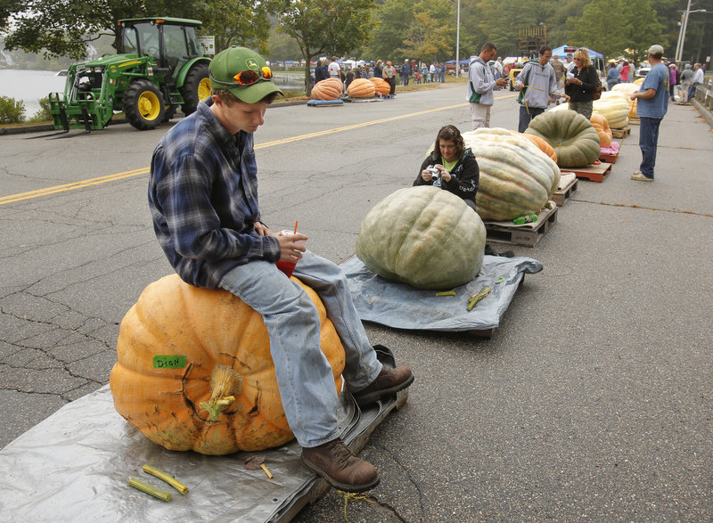A dejected-looking Lucas Dion sits on his father’s pumpkin while waiting to weigh his own gourd at Sanford Harvest Daze. Lucas’ pumpkin weighed in at 185.5 pounds, but rot disqualified it from winning a prize.