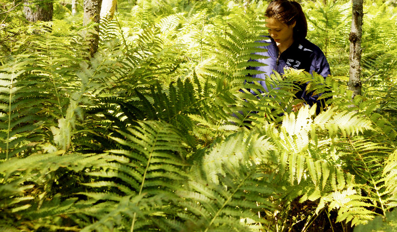 Tom and Svetlana Bell’s 16-year-old daughter, Ihila Lesnikova, walks through ferns during a hike with her father in the forest in the Bikin River basin.