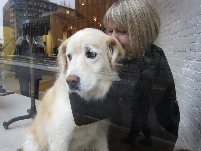 Fairbanks gets a hug from his person, Andrea Nemitz, as he levels his love-me doggie gaze out of the window of the Black Parrot boutique on Middle Street in Portland in January. Those were happy times for “the Bankster” – he was fully employed charming passers-by in the Old Port, who reciprocated with visits and cookies.