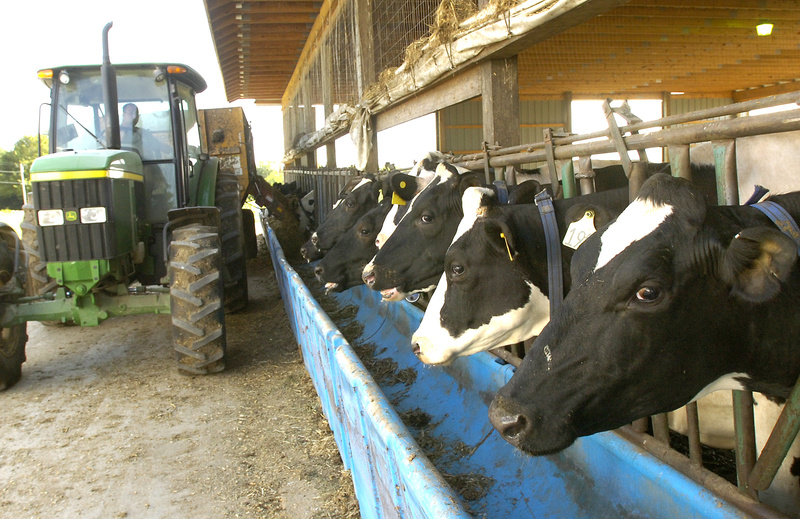 Brigeen Farms in Turner and other Maine dairy farms have been left without a safety net because Congress has not passed a farm bill.