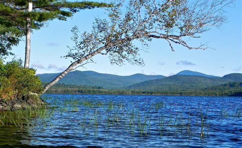 Looking north from the western shoreline of Wilson Pond, a canoeist can see the conical profile of Mount Blue. The pond teems with wildlife, especially birds, including kingfishers, mergansers and ducks.