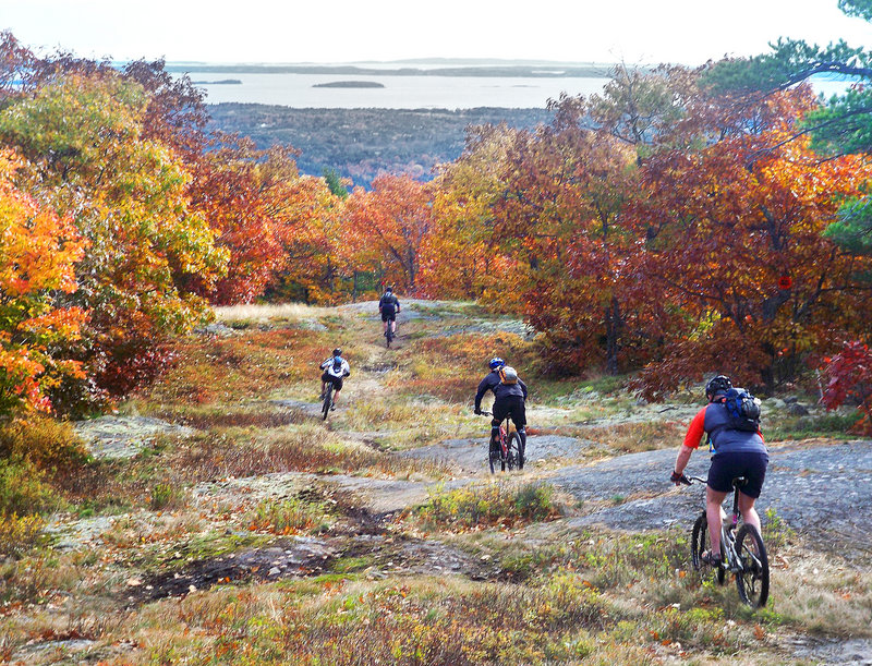 Cyclists experience the fall foliage on a mountain bike ride at the Camden Snow Bowl.
