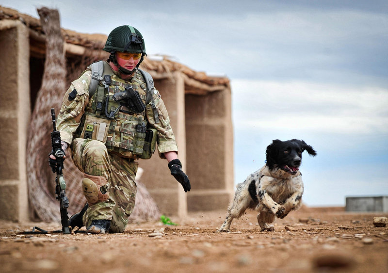 Lance Cpl. Liam Tasker and his bomb-sniffing Springer spaniel mix Theo, in a Ministry of Defence undated photo.