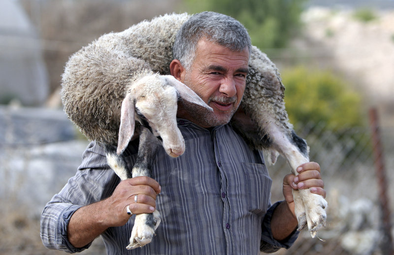 A Palestinian man carries a goat for sale at a livestock market Wednesday, ahead of the Muslim celebration of Eid al-Adha. Sheep, cows and goats are slaughtered for the holiday.