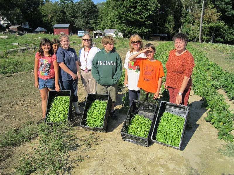 Wells Junior High School student volunteers and staffers pose with green beans that they picked recently at Spiller Farm in Wells. Pictured from left are Samantha Jones, Jessica Licardo, Abigail Bourque, Beth Cilluffo, Ethan Huber-Young, Mary Rand, Caden Gibson and Kerry Georgitis.