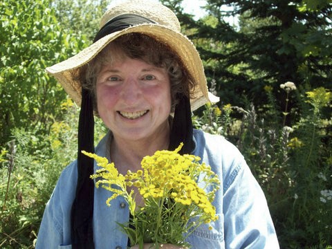 Nancy Oden harvests medicinal herbs, tansy and goldenrod, in her Jonesboro organic garden.
