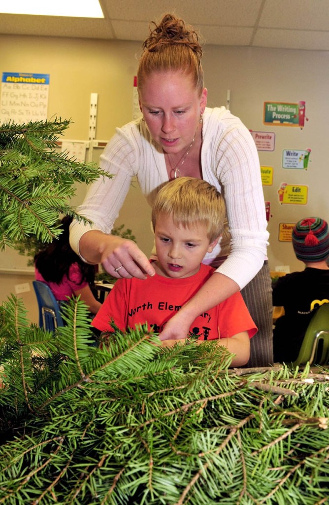 Cornville Regional Charter School teacher Ashlee Savage helps student Adam Archer make a holiday decoration with fir boughs recently.