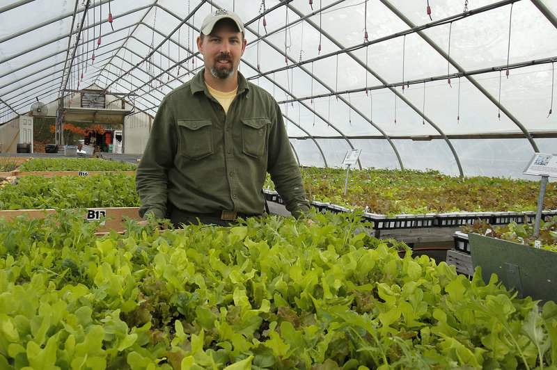 Joe Viscano has a greenhouse full of greens that he will sell in his store, at the farmers market and to restaurants. “It’s kind of a science project,” he said. “It seemed like there was a demand for something like this.”
