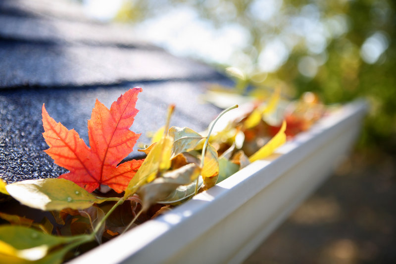 Clogged gutters can lead to ice dams, moisture problems, leaks and slippery walkways in winter. To avoid these issues, clean them out before the snow flies – or hire someone else to do it.