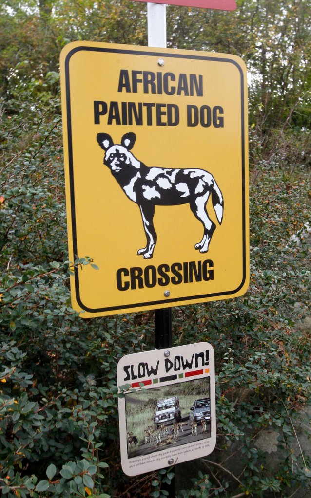 A sign at the Pittsburgh Zoo depicts an African painted dog, the species that killed a toddler who fell into their enclosure Sunday.