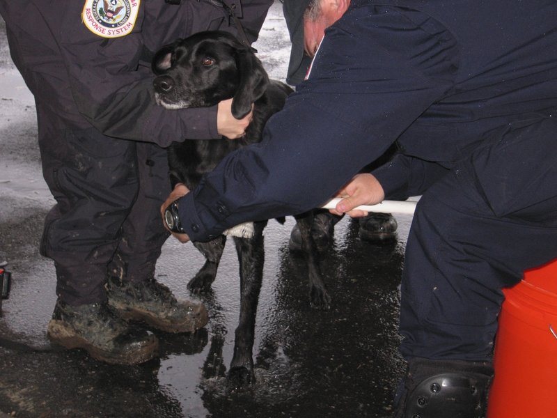 This image depicts some of the search-and-rescue operations conducted in Far Rockaway and Queens in New York in the aftermath of the hybrid storm that came crashing ashore at the end of October. Two Portland firefighters were part of the Massachusetts team that was assigned to help out in New York.