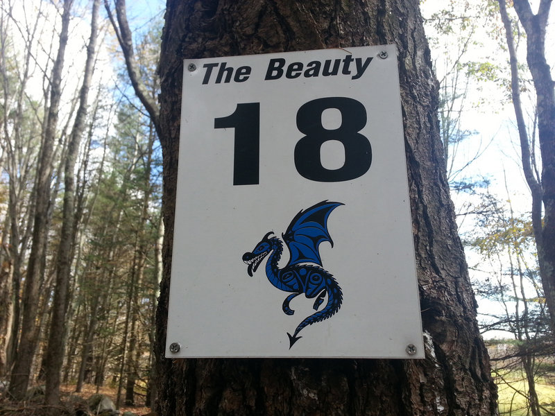 The Beauty is an 18-hole disc golf course in Brunswick for novices to the sport. Also available is a more advanced course called The Beast.