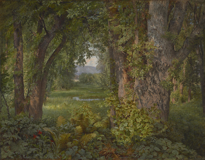 “In the Woods,” 1860 oil on canvas by William Trost Richards (American, 1833-1905), from “We Never See Anything Clearly: John Ruskin and Landscape Painting,” through Dec. 23 at the Bowdoin College Museum of Art.