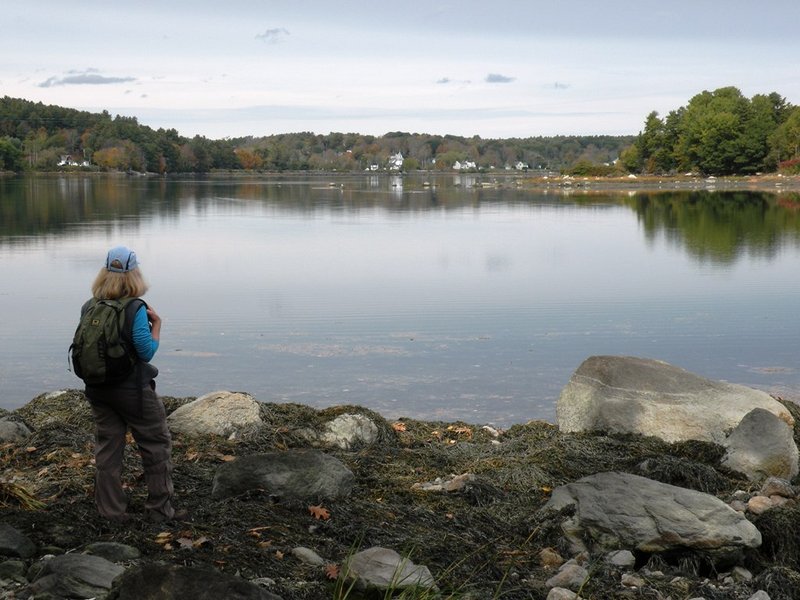 The Great Salt Bay Farm is a lovely 100-acre preserve of rolling fields, salt and freshwater marshes, woods and a mile of water frontage that makes a visit to the Upper Damariscotta River Region so rewarding.